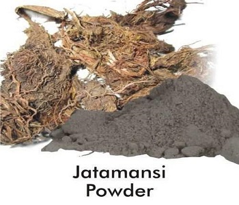 jatamansi powder manufacturer