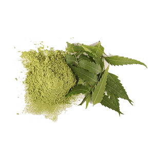 Neem PowderView Products
